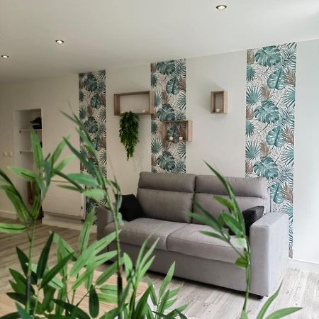 Bel Appartement Bord Du Rhone Βαλένς Εξωτερικό φωτογραφία