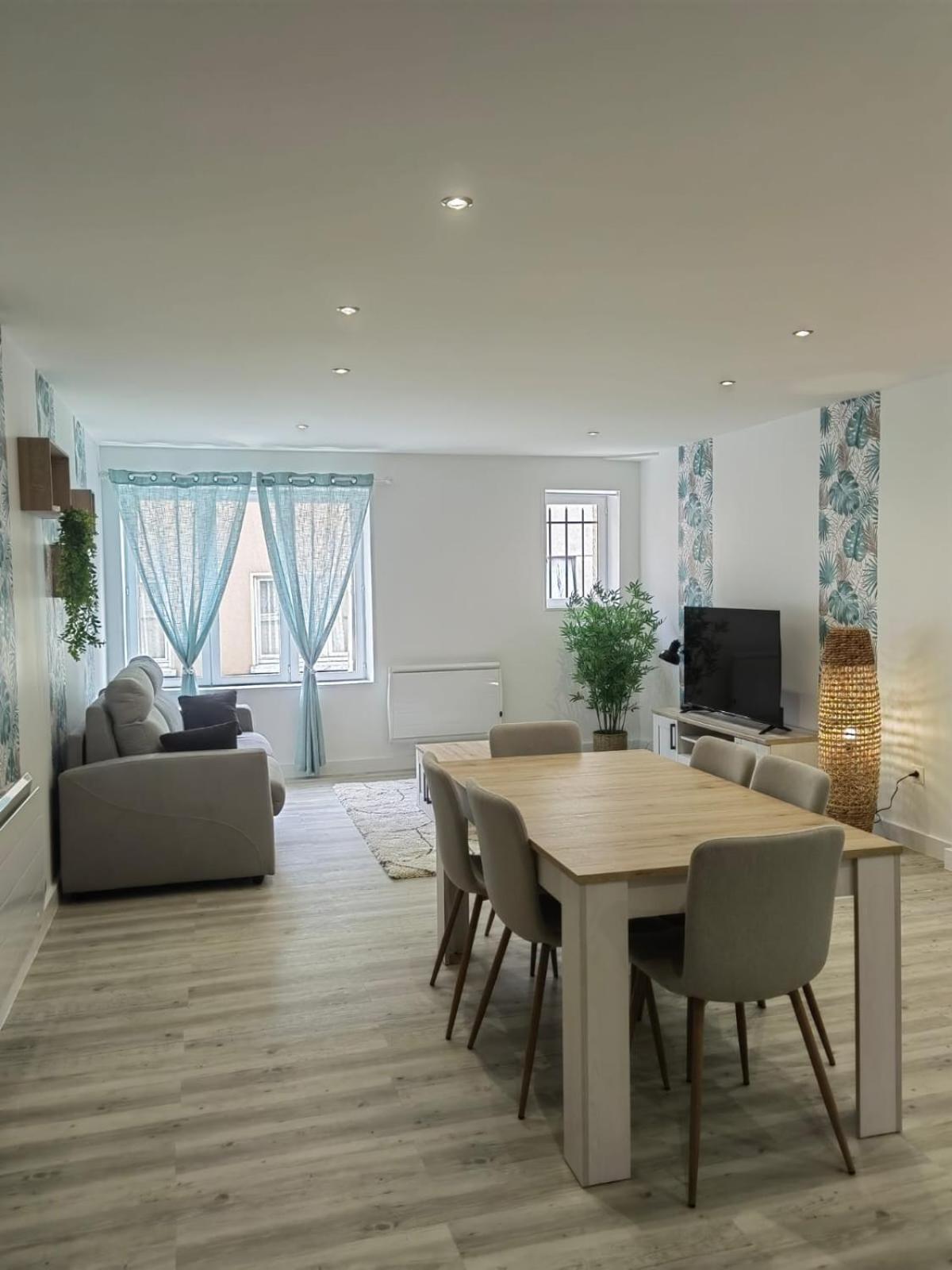 Bel Appartement Bord Du Rhone Βαλένς Εξωτερικό φωτογραφία